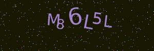 Validation image