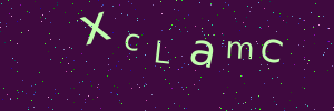 Validation image